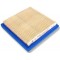 FILTRE AIR (TOP100) 