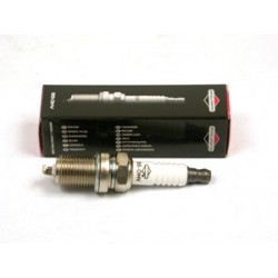 BBUGIE BRIGGS OHV 