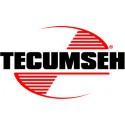 TECUMSEH